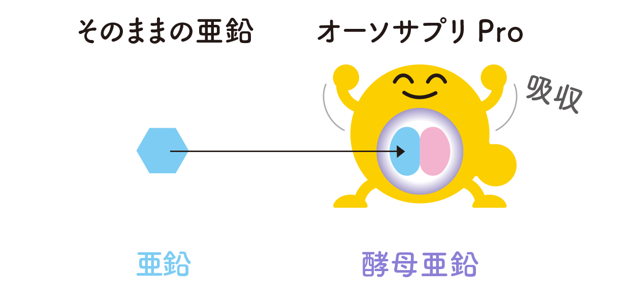 酵母亜鉛