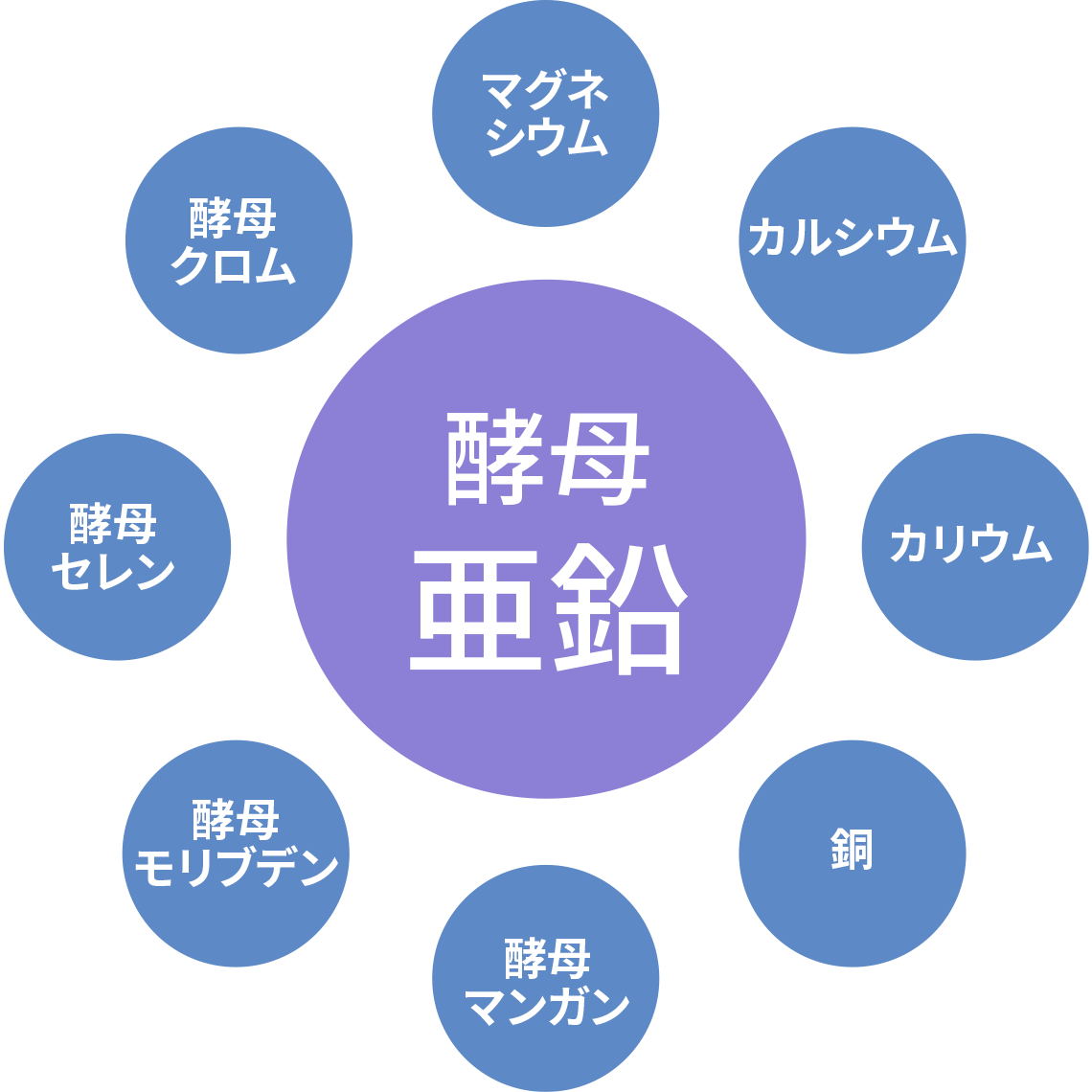 必須ミネラル
