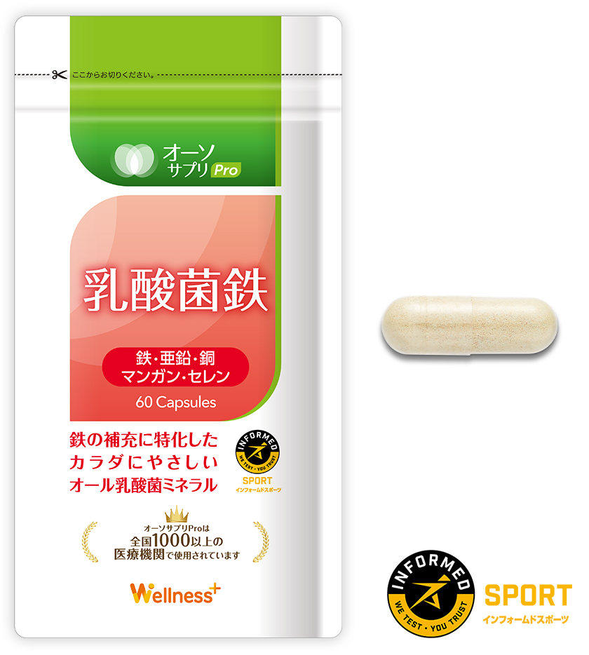 乳酸菌鉄 ウェルネスプラス